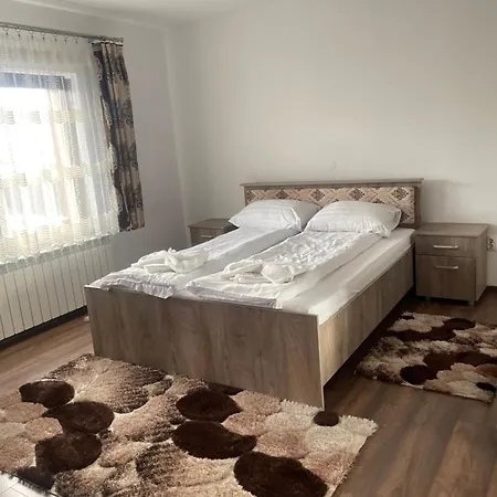 Casa De Vacanta Raul Guest house