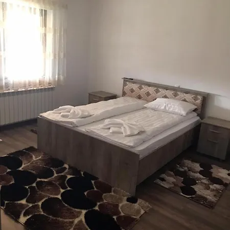 Casa De Vacanta Raul Guest house
